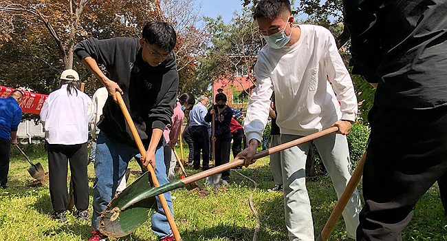 图片3绿茵体育
.jpg