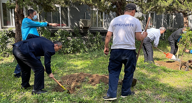 图片4绿茵体育
.jpg